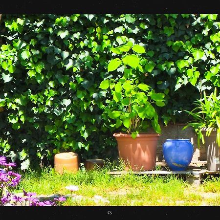 Agnes Appartement Limoux Buitenkant foto