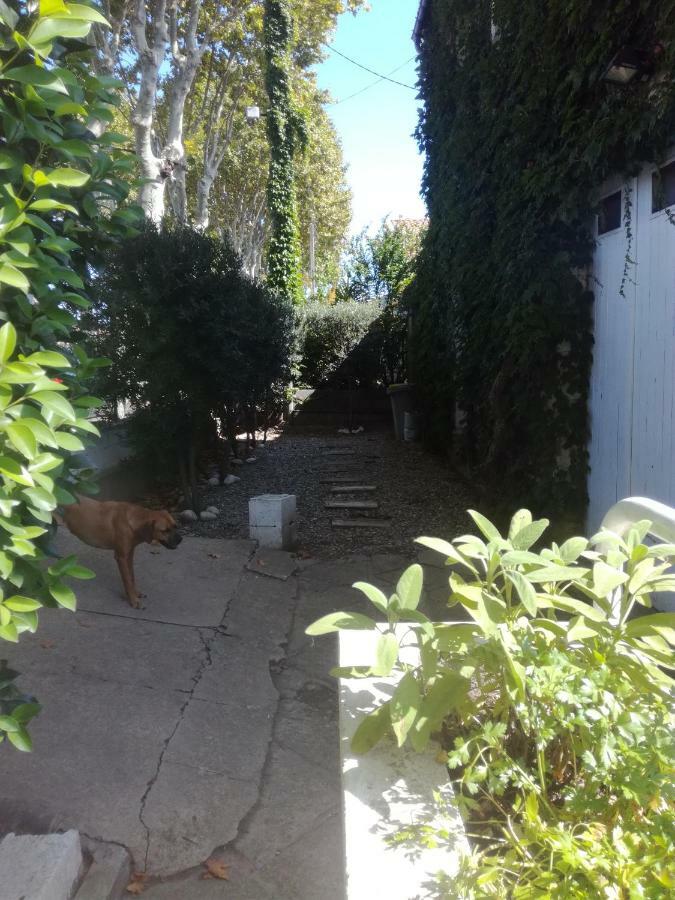 Agnes Appartement Limoux Buitenkant foto